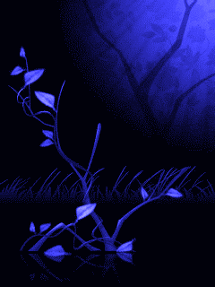06.gif
